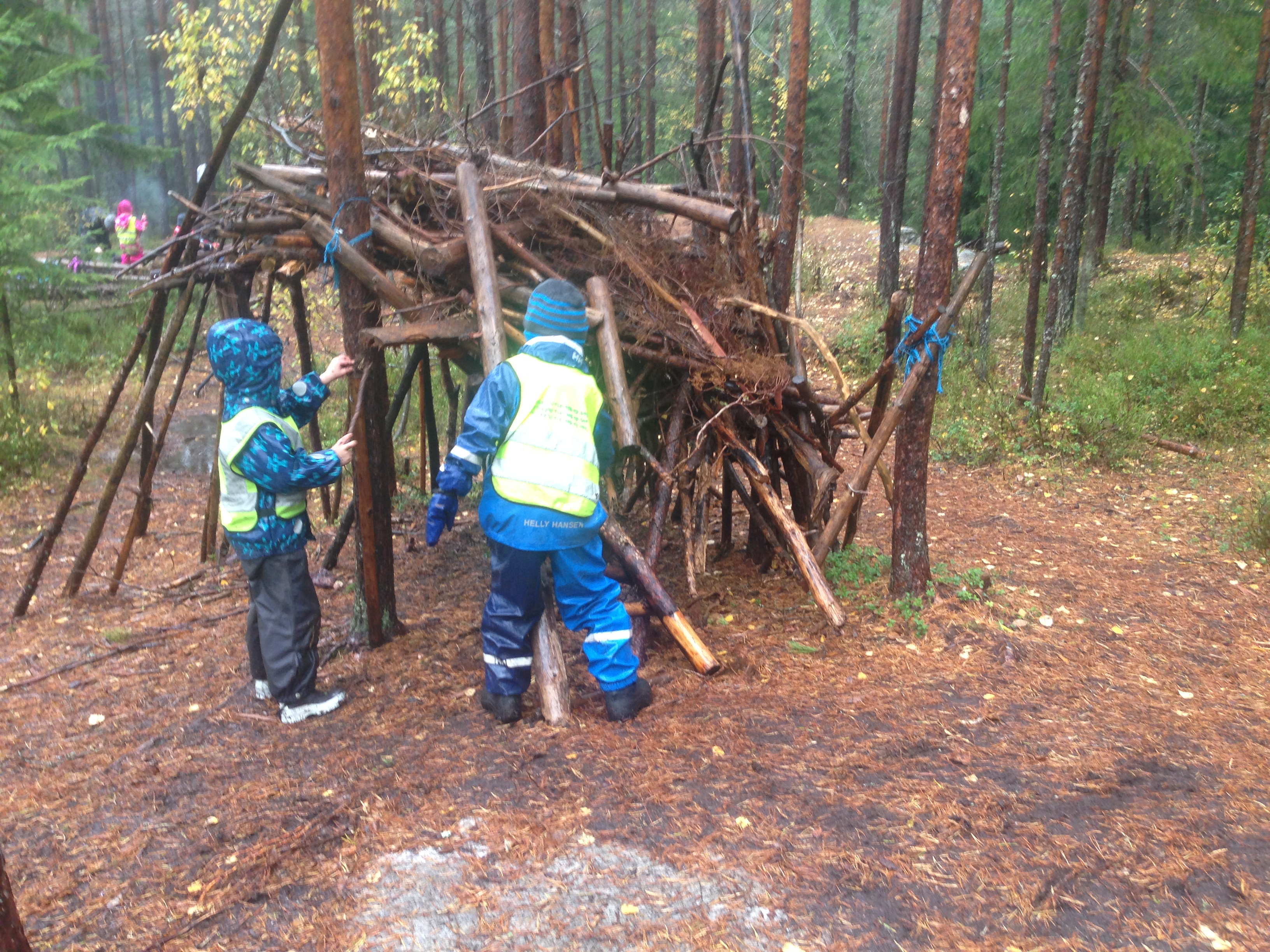 Bygge hytte i skogen